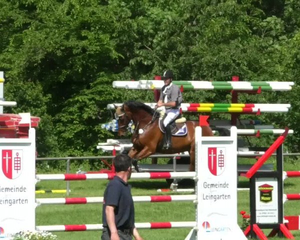 Reitturnier Leingarten 2019
