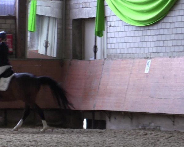 Reitturnier Hellefeld 2019