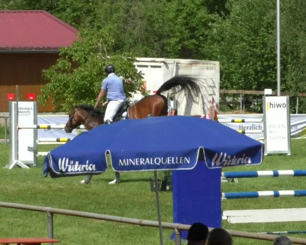 Reitturnier Leingarten 2019
