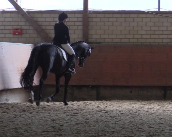 Reitturnier Hellefeld 2019
