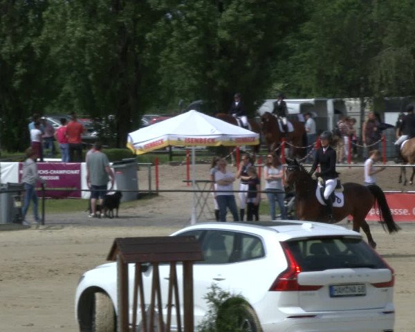 Reitturnier Hamm-Rhynern 2019