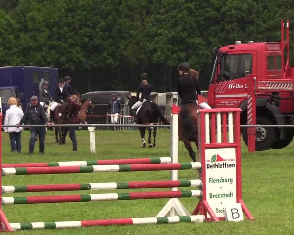 Reitturnier Medelby 2019