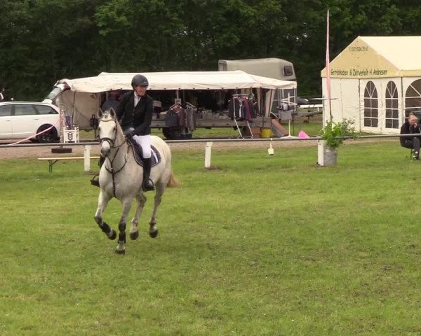Reitturnier Medelby 2019
