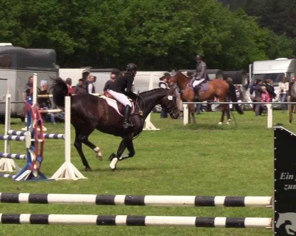 Reitturnier Medelby 2019