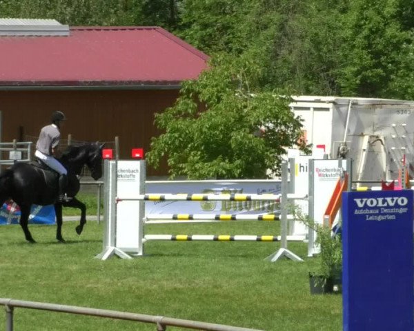 Reitturnier Leingarten 2019