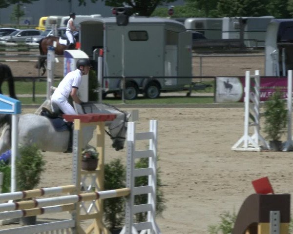 Reitturnier Hamm-Rhynern 2019
