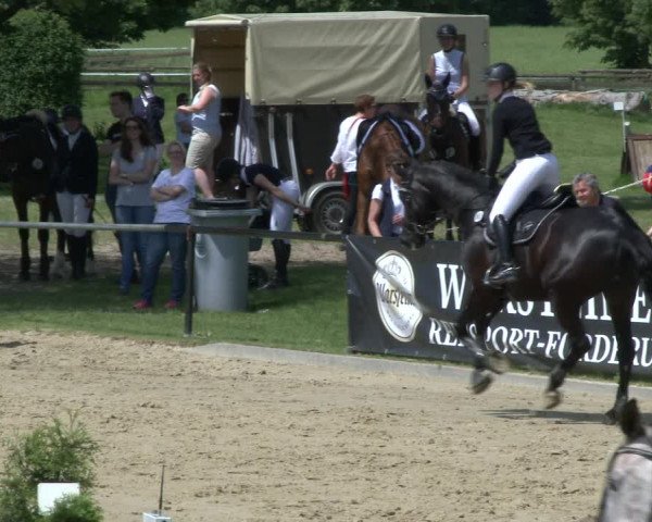 Reitturnier Hamm-Rhynern 2019