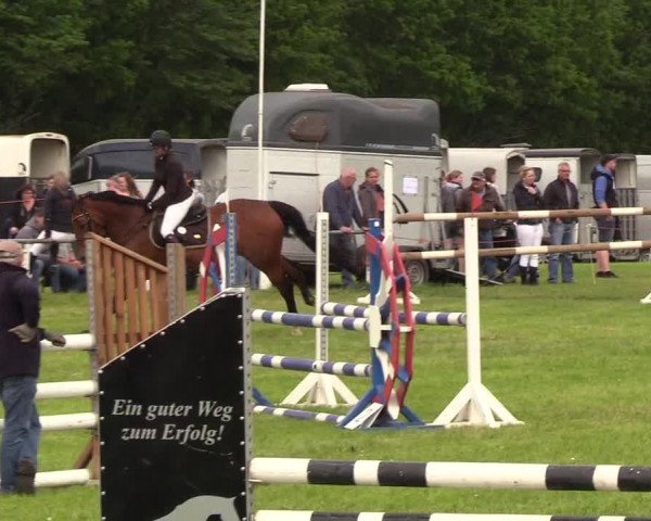 Reitturnier Medelby 2019