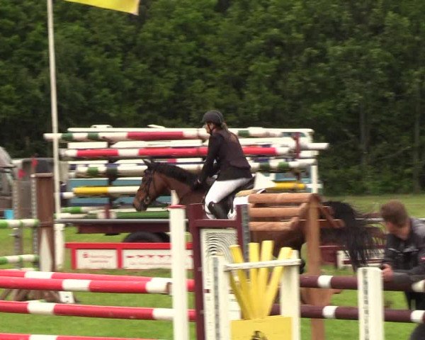 Reitturnier Medelby 2019