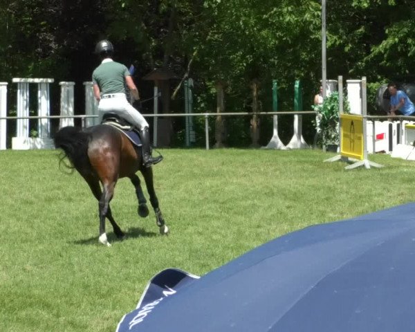 Reitturnier Leingarten 2019