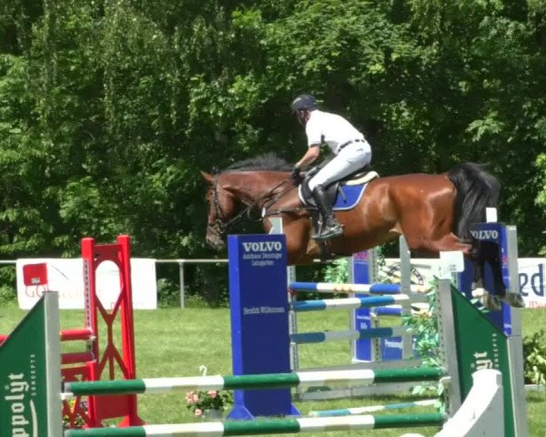 Reitturnier Leingarten 2019