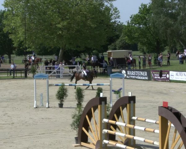 Reitturnier Hamm-Rhynern 2019