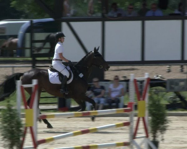 Reitturnier Hamm-Rhynern 2019