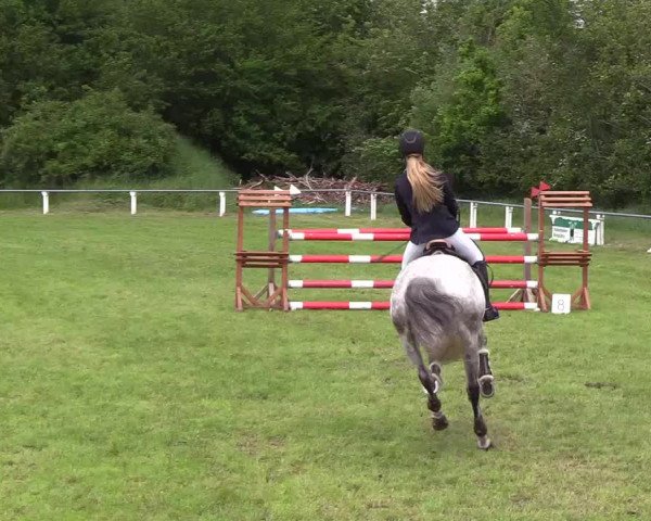 Reitturnier Medelby 2019