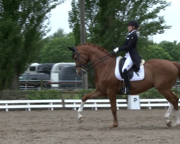 Reitturnier Hamm-Rhynern 2019