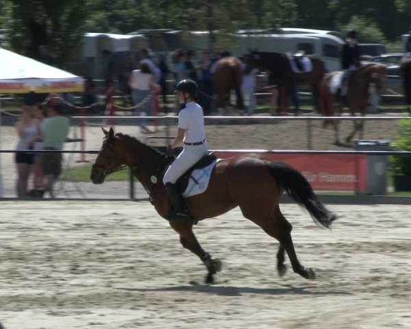 Reitturnier Hamm-Rhynern 2019