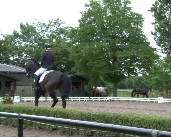 Reitturnier Hamm-Rhynern 2019