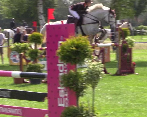 Reitturnier Hille 2019