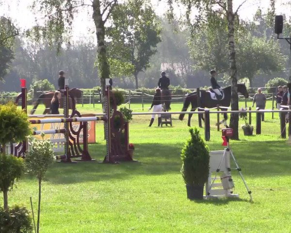 Reitturnier Hille 2019