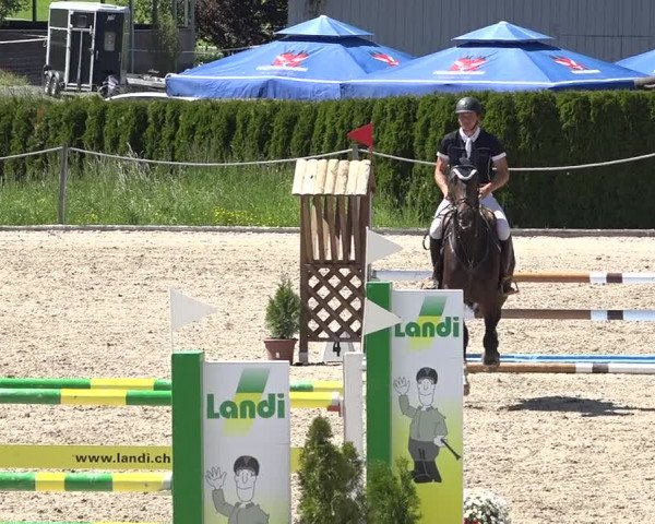 Reitturnier Fehraltorf 2019