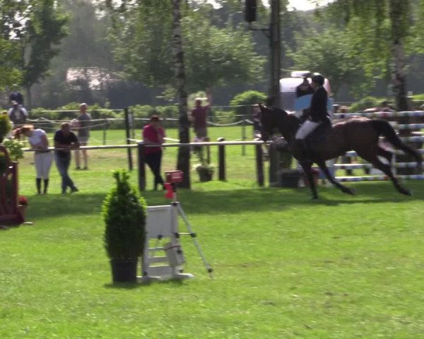 Reitturnier Hille 2019