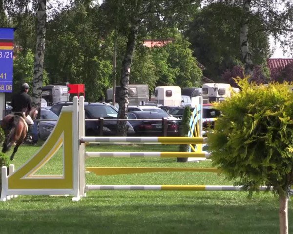 Reitturnier Hille 2019