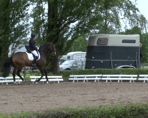 Reitturnier Hamm-Rhynern 2019