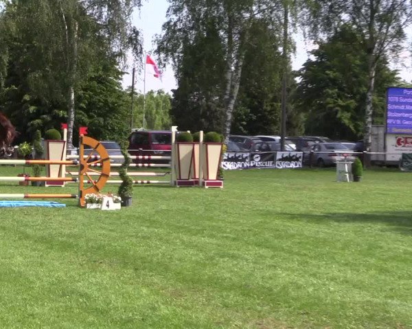 Reitturnier Hille 2019