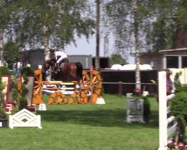 Reitturnier Hille 2019