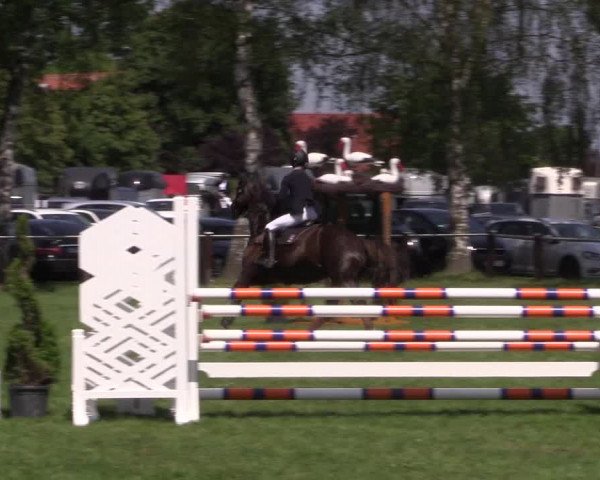 Reitturnier Hille 2019