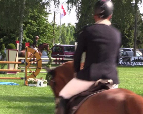 Reitturnier Hille 2019