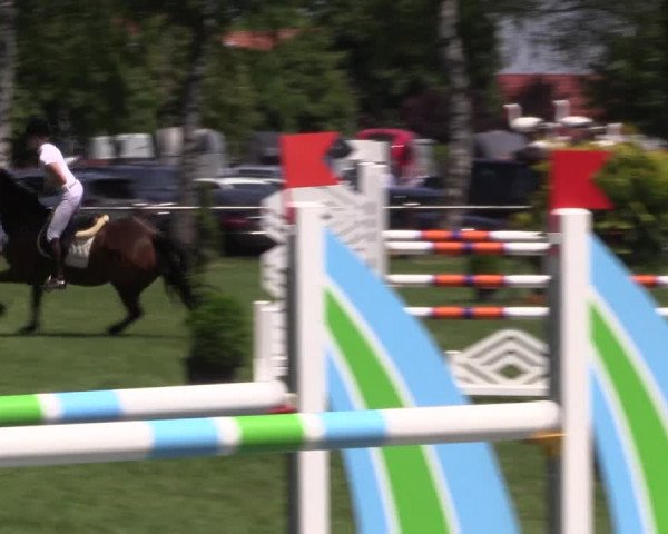 Reitturnier Hille 2019
