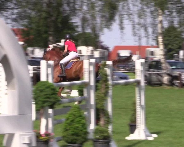 Reitturnier Hille 2019