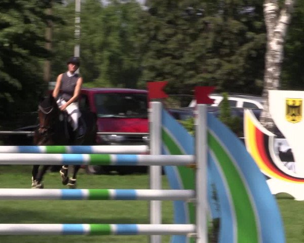 Reitturnier Hille 2019