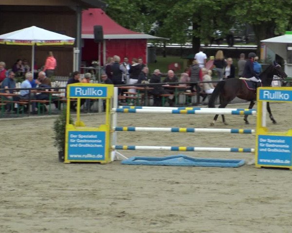 Reitturnier Hamm-Rhynern 2019