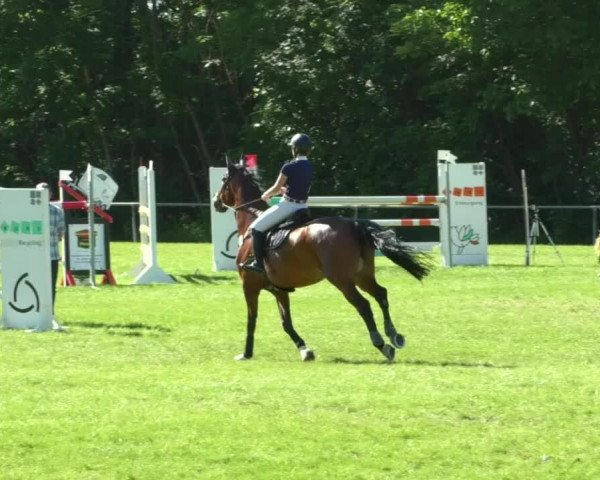 Reitturnier Leingarten 2019