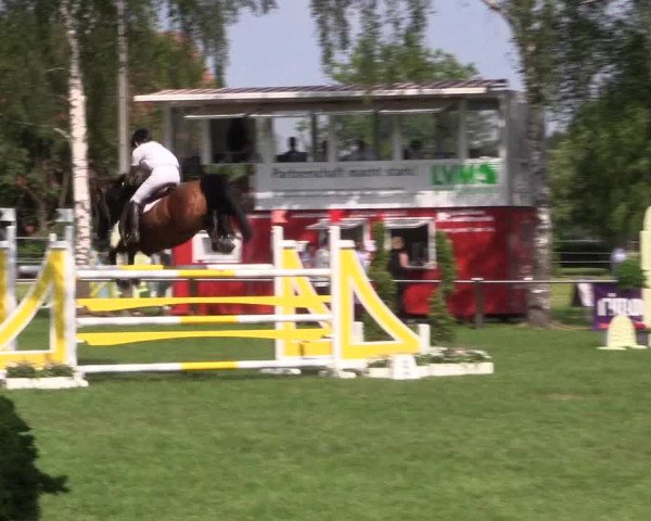 Reitturnier Hille 2019