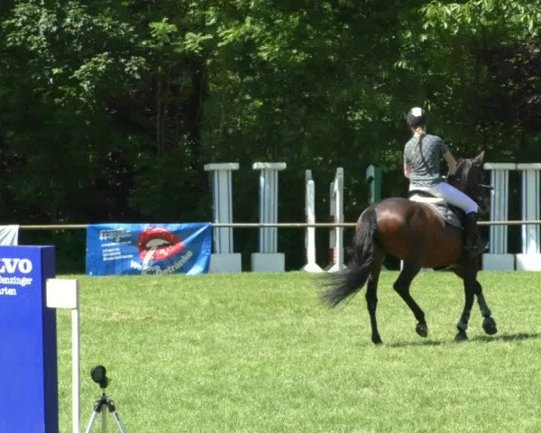 Reitturnier Leingarten 2019