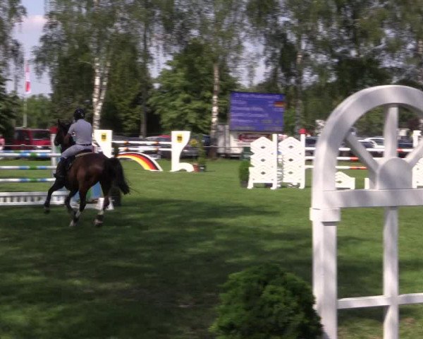 Reitturnier Hille 2019