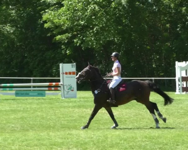 Reitturnier Leingarten 2019