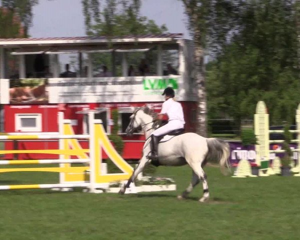Reitturnier Hille 2019