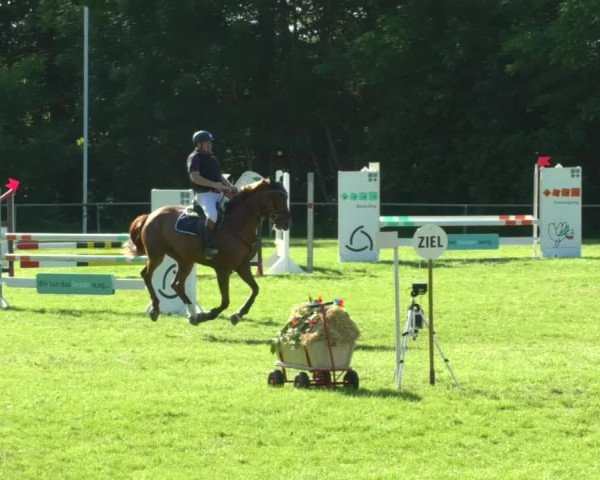 Reitturnier Leingarten 2019