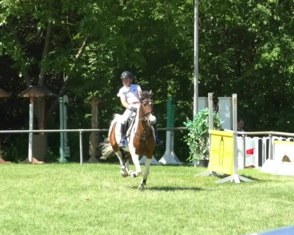 Reitturnier Leingarten 2019