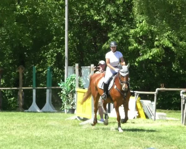 Reitturnier Leingarten 2019