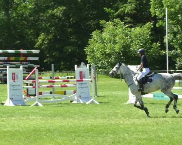 Reitturnier Leingarten 2019