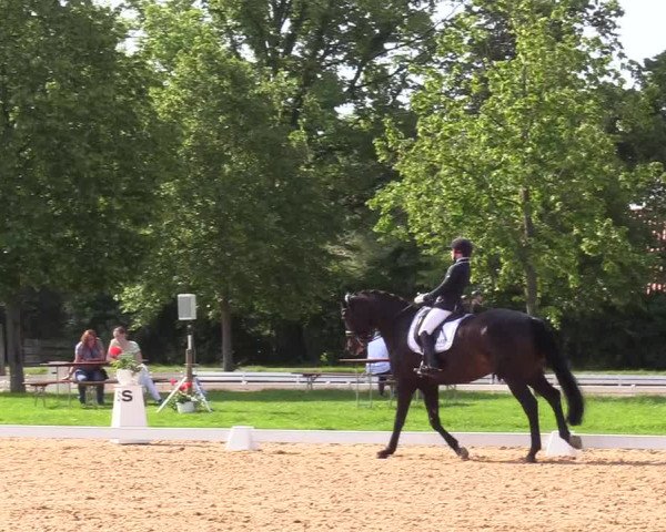 Reitturnier Hille 2019