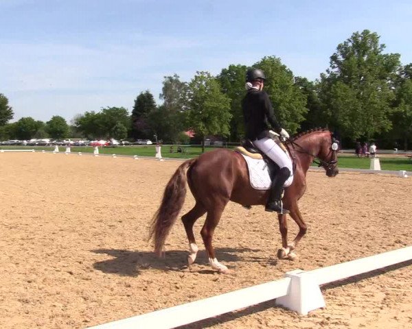 Reitturnier Hille 2019