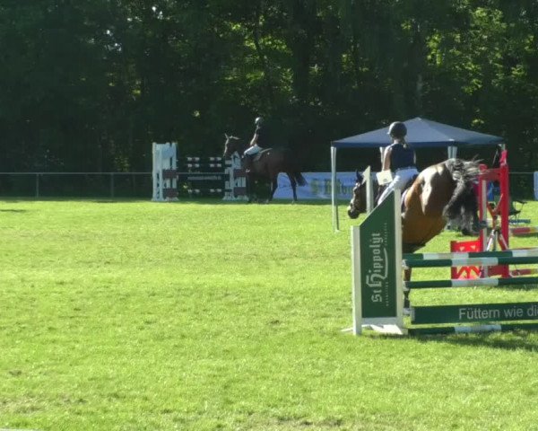 Reitturnier Leingarten 2019
