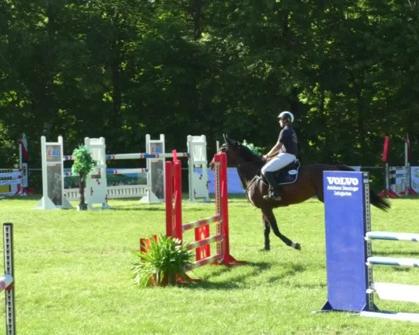 Reitturnier Leingarten 2019