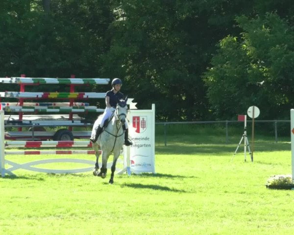 Reitturnier Leingarten 2019